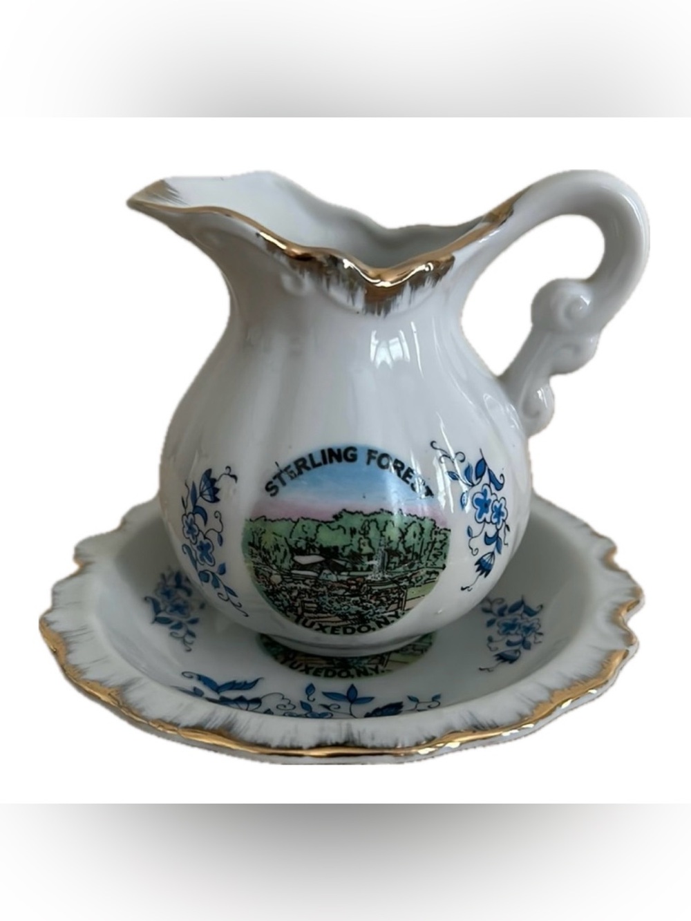 Vintage Sterling Forest, Tuxedo NY Souvenir Pitcher & Basin Set